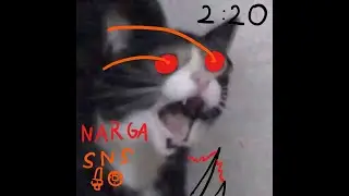 MHR - Nargacuga Infernal Springs (SnS) - 2:20 - TA wiki
