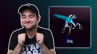 What So Not - Not All the Beautiful Things (Album Review)