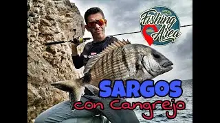 Sargos con Cangrejo