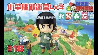 #18【#集合啦！動物森友會】小李挑戰迷宮Lv3 [沒過關不下播]#Animal Crossing: New Horizons #あつまれ どうぶつの森