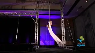 Florida Pole & Aerial Arts Showcase 2014 - Melissa Schreiber