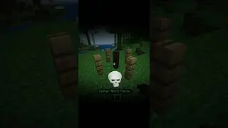 Minecraft fence moment 💀