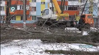 2 года условно за гибель двух рабочих получила мастер &laquo;Зеленстроя&raquo;