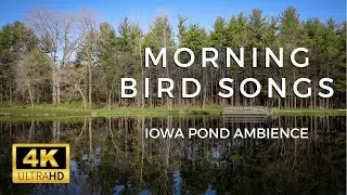 4K IOWA POND AMBIENCE | 4 HOURS of Bird Sounds at Jester Park