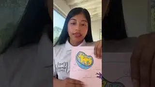 Rayos Gamma y entrada de glucosa.
