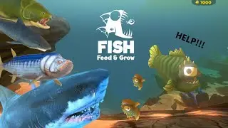 Je tue le Megalodon ?!!!! #feedandgrowfish #fighting #fishing #noximon