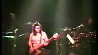Bestial cluster - Mick Karn 