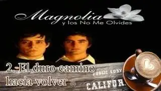 El duro camino hacia volver a empezar - Magnolia y los no me olvides [Descarga]
