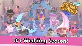It's Wedding Season!