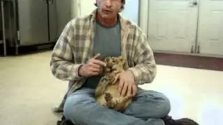 Lion Cub Rescue w/ Billy McNamara
