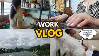 Work vlog as Administrative Officer II✨| Realistic busy life - Cris Diaries