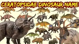 🦕Dinosaurs for kids   Learn🦖 49 Ceratopsidae🐾Dinosaur Species Names! #kids #dinosaurs #dinosaur �