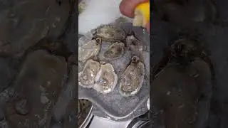Did you know oysters are eaten alive?