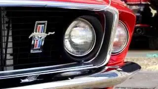 TuningKingz Detailer Mustang