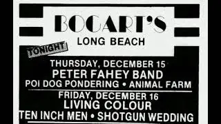 Living Colour 1988 12 16 Bogart's, Long Beach, CA