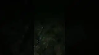 New Year, Catch and Release MUSKIE