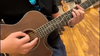Taylor and Godin Guitar Test at Long & McQuade Edmonton