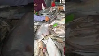 Magh Bihu 🪁🪅&hearts;️ special fish 🐠🐟#maghbihu2025 #special #fish #bihusong #viral #shorts #travel