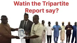AN ANALYSIS OF THE TRIPARTITE REPORT | WETIN DEY INSAI D TRIPARTITE REPORT? PART 1