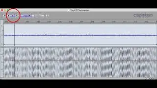 Capstan Software Wow & Flutter Removal Test