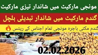 Wheat Today price Punjab//2026/گندم  ریٹس/ Galla Mandi ke taaja Tren rate@pakmandirates786 2.2.2026