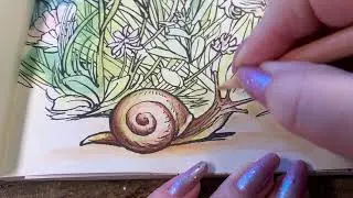 Adult Coloring - The Flower Fairies A Friendly Encounter Part 2