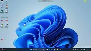 How to update Microsoft store apps.