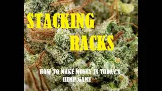 Is the cannabis industry actually profitable right now, or is it quietly collapsing?