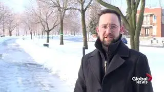 GlobalNews - Proposed dog park sparks concerns in Verdun