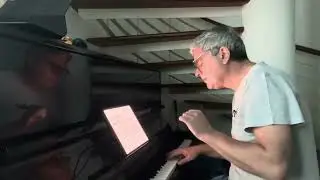 Marc au piano Mozart Sonate pour 2 pianos K448
