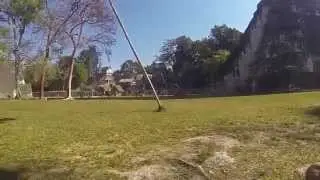 Tikal 4-24-2014