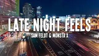 Sam Feldt & Monsta X - Late Night Feels (Lyrics)
