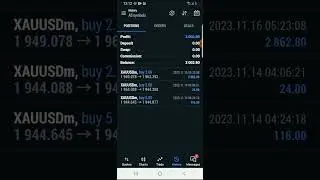 Three months down the road forex trading with no loss