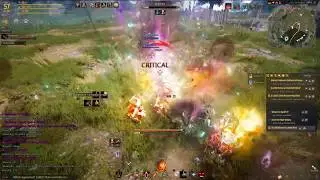 BDO | Striker VS Dark Knight