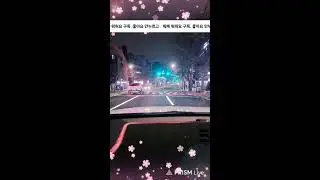 택시 왕 초짜 라이브 방송