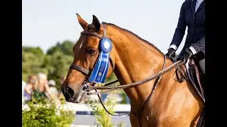 1st Place - USHJA 3&rsquo;3&rdquo; Hunt Seat Test GLEF 2025 - Heartbeat Z