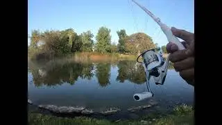 Legg lake early fishing session