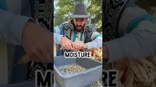 Will Glass Gem Corn pop?
