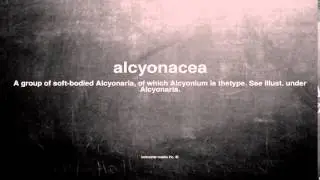 What does alcyonacea mean
