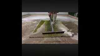 Satisfying Rug Cleaning Compilation ASMR ~ Desert Rug Cleaning #carpetcleaningasmr