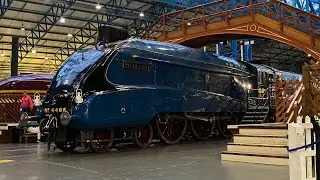 4468 Mallard at NRM York 25/1/24 and York Station 26/1/24.