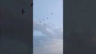 5 февраля 2026 г.