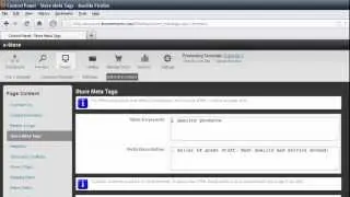e-Store Search Engine Optimization (SEO)