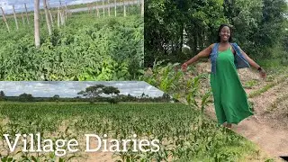 Village diaries❤️ | Life away from the noise