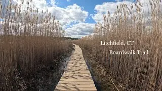 Trail Walk | Connecticut | White Memorial