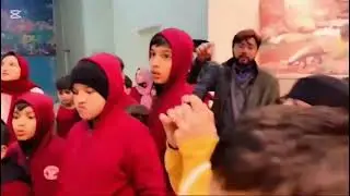 Acquatic Life | Orison School Trip to Museum