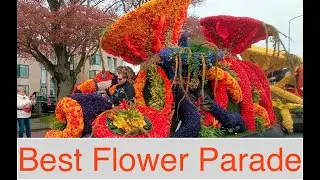 Dutch Flower Parade 2023 ||  Lisse  ||  Nederlands 🇳🇱