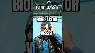 BIOREACTOR #vessel #creative #control #artificial #environment #oxygen #biofuels #enzymes