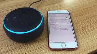 Как подключить iPhone к Amazon Echo Dot и использовать его в качестве Bluetooth-динамика