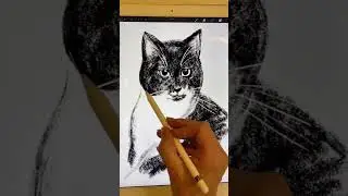 Cat art tutorial LIVE Tiktok